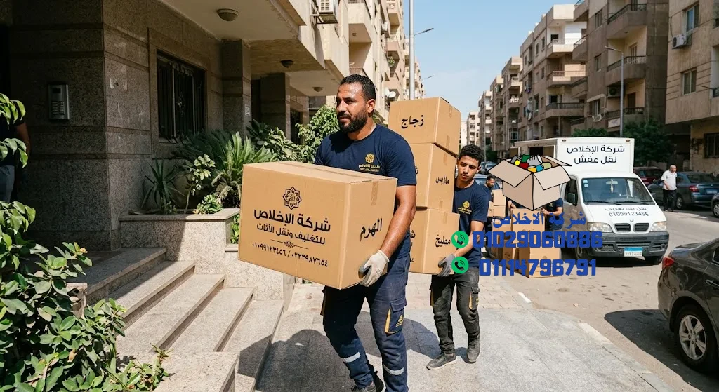 اماكن بيع كراتين فارغة في الهرم